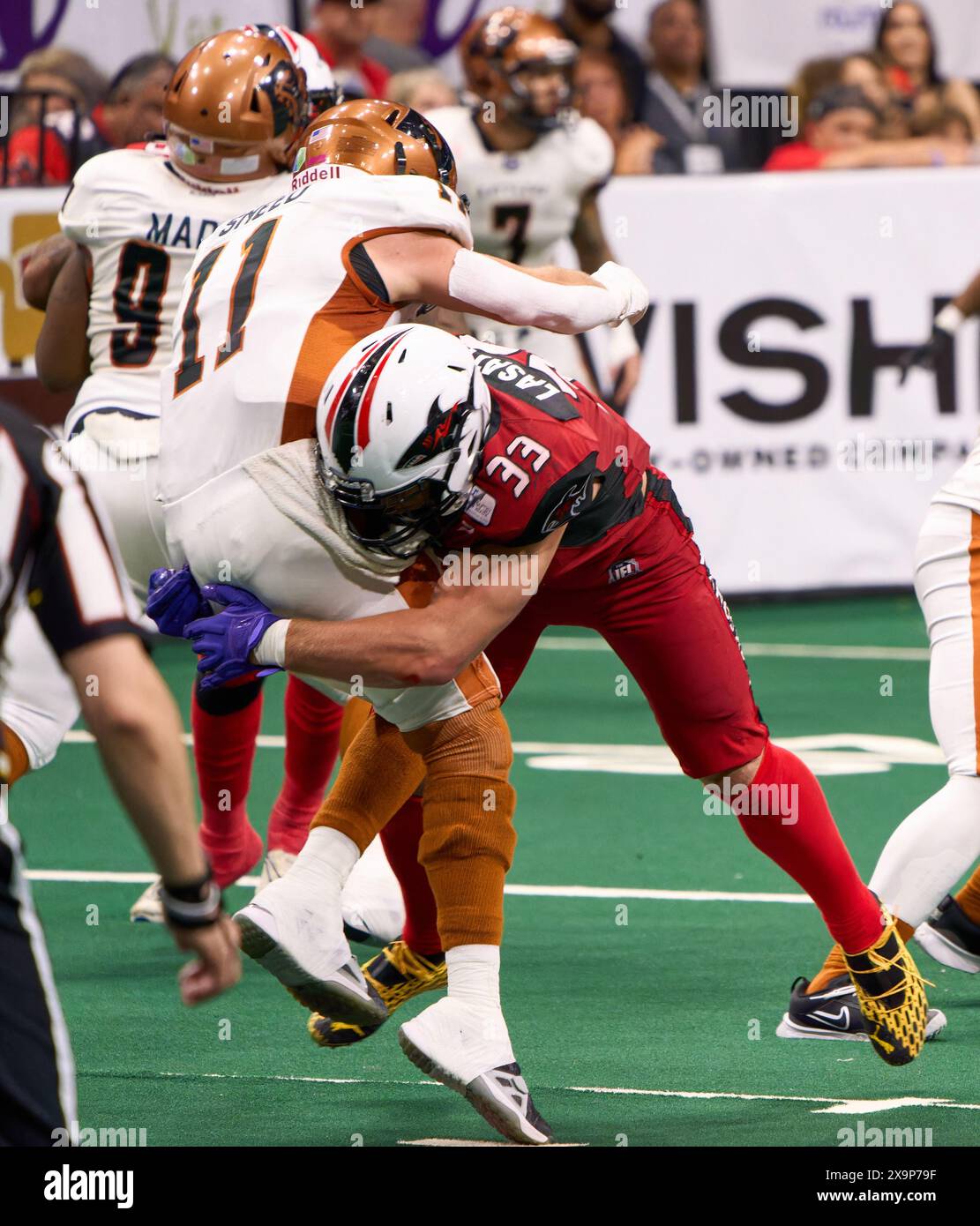 Jacksonville, Florida, USA. Juni 2024. Indoor Football League, Jacksonville Sharks gegen Arizona Rattlers. Sharks LB Chase Lasater (33) trifft Rattlers QB Dalton Sneed (11), nachdem er den Pass freigegeben hatte. Foto: Tim Davis/Alamy Live News Stockfoto