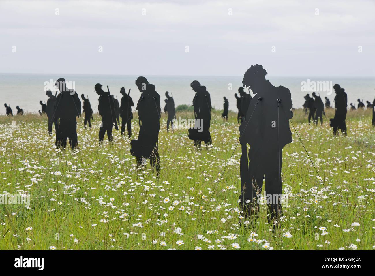 Normandie, Frankreich. Juni 2024. Die Statuen der Statuen der Gedenkstätte Standing with Giants befinden sich inmitten tausender Wildblumen in Vorbereitung auf die Zeremonie zum 80. Jahrestag des D Day, die am Donnerstag, den 6. Juni stattfinden soll. Mit dem Titel „for Your Tomorrow“ beträgt die Gesamtzahl der Statuen 1475 mit einem geneigten Kopf, der einen verlorenen Soldaten am DDay darstellt. Am Donnerstag werden viele Staatsoberhäupter, Veteranen und Beamte empfangen, die den 80. Jahrestag der Landungen des D-Day und der Schlacht in der Normandie gedenken werden. Credit: Casper Farrell/Alamy News Credit: Casper Farrell Photography/Alamy Stockfoto