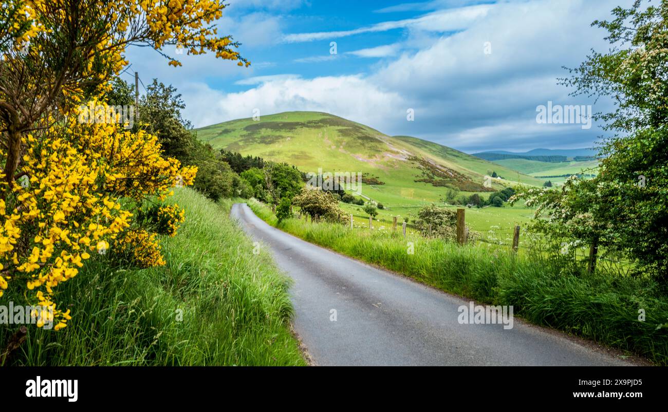Eine ruhige Landstraße an der schottischen Grenze in der Nähe der Stadt Broughton Stockfoto