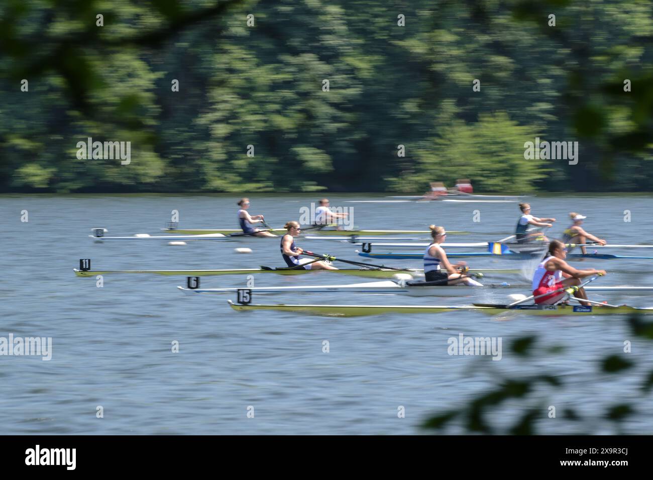 Ratzeburg, Deutschland, 1. Juni 2024: Weibliche Einschädel-Ruderinnen in Sportbooten kämpfen um den Sieg bei der Regatta am Ratzeburger See, Pannin Stockfoto