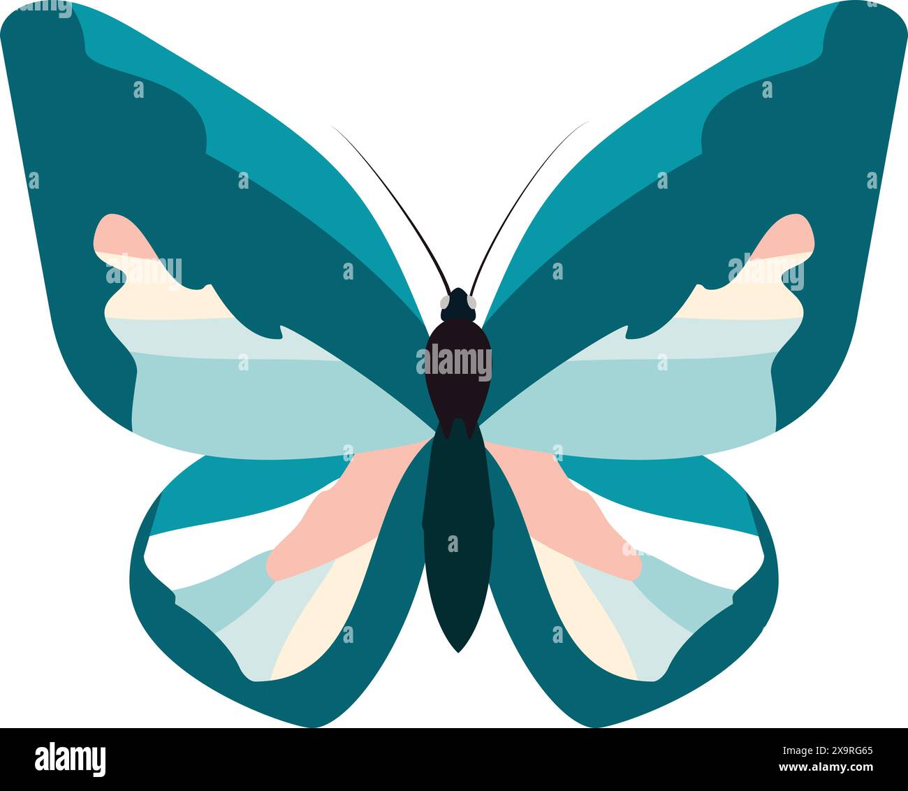 Blauer und rosafarbener Schmetterling auf weißem Hintergrund Stock Vektor