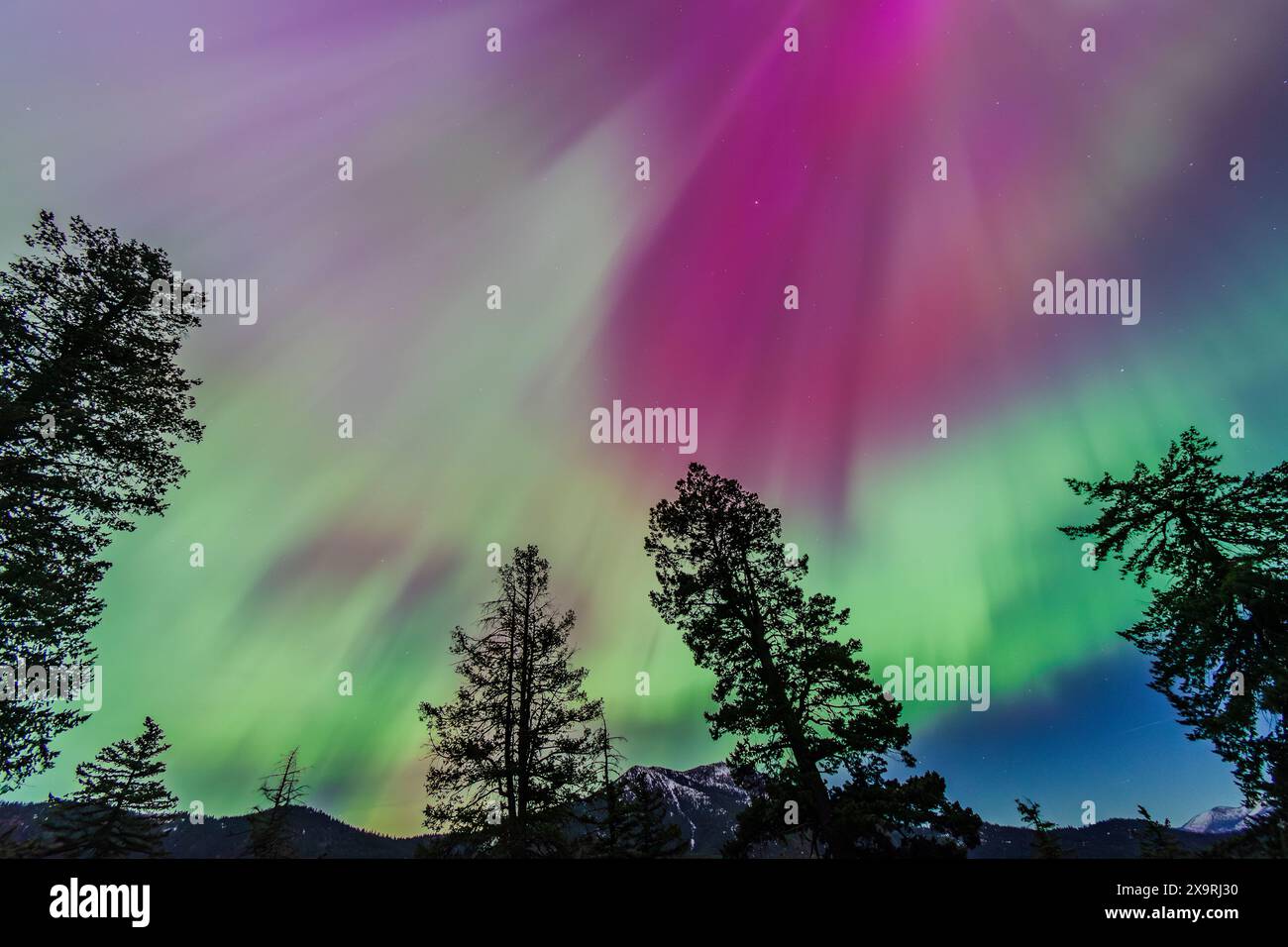 Erstaunliche Nordlichter der Aurora Borealis, die während des massiven G5 Geomagnetic Storm, Mai 2024, USA, über den North Cascades des Washington State beobachtet wurden Stockfoto