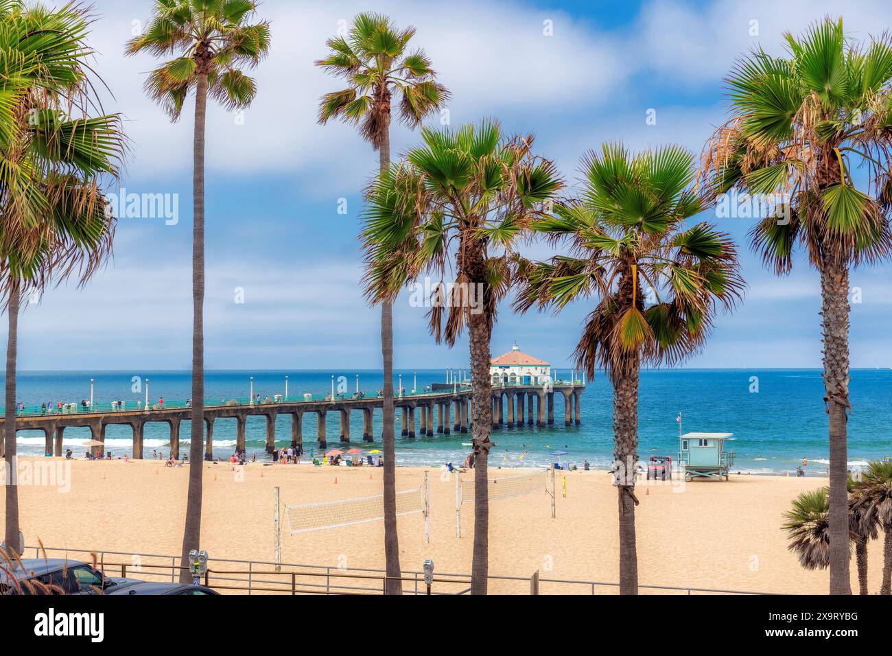 Palmen in Manhattan Beach und Pier im Sommer in Los Angeles, Südkalifornien. Stockfoto