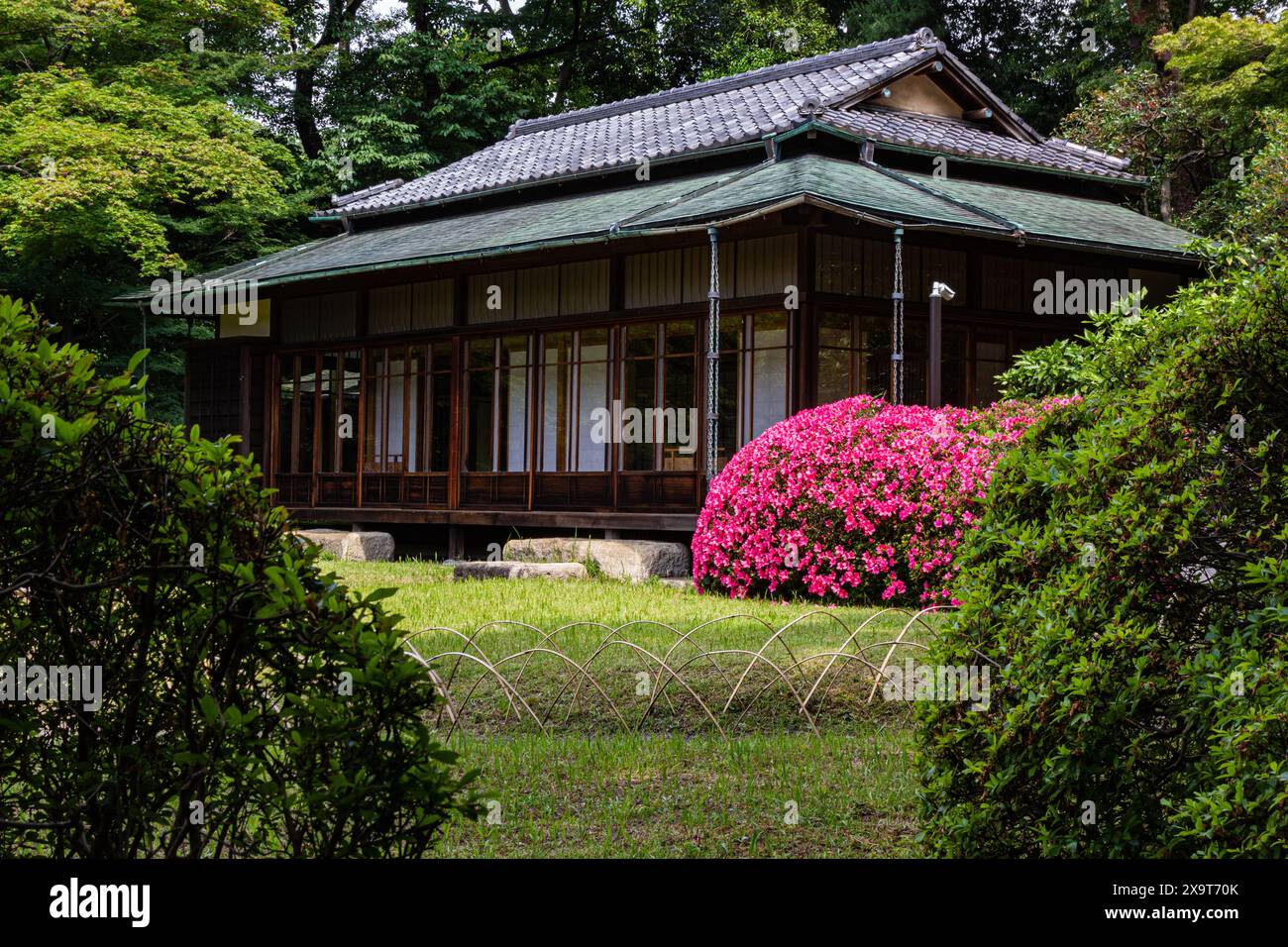 Japanisches teehaus -Fotos und -Bildmaterial in hoher Auflösung – Alamy