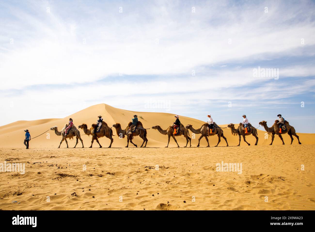 Ordos, China. Juni 2024. Am 31. Mai 2024 reiten Touristen auf Kamelen am malerischen Ort Yinkantara in der Kubuqi-Wüste in Ordos, der autonomen Region der Inneren Mongolei, China. (Foto: Costfoto/NurPhoto) Credit: NurPhoto SRL/Alamy Live News Stockfoto