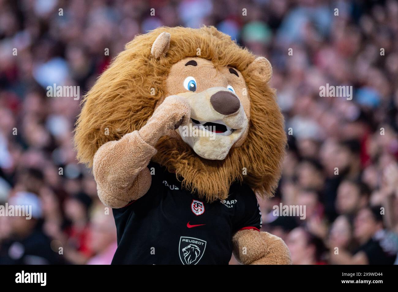 Toulouse Maskottchen während des französischen Meisterschaftsspiels der Top 14 Rugby union zwischen Stade Toulousain (Toulouse) und Stade Rochelais (La Rochelle) am 2. Juni 2024 im Stadion in Toulouse, Frankreich - Foto Nathan Barange / DPPI Stockfoto