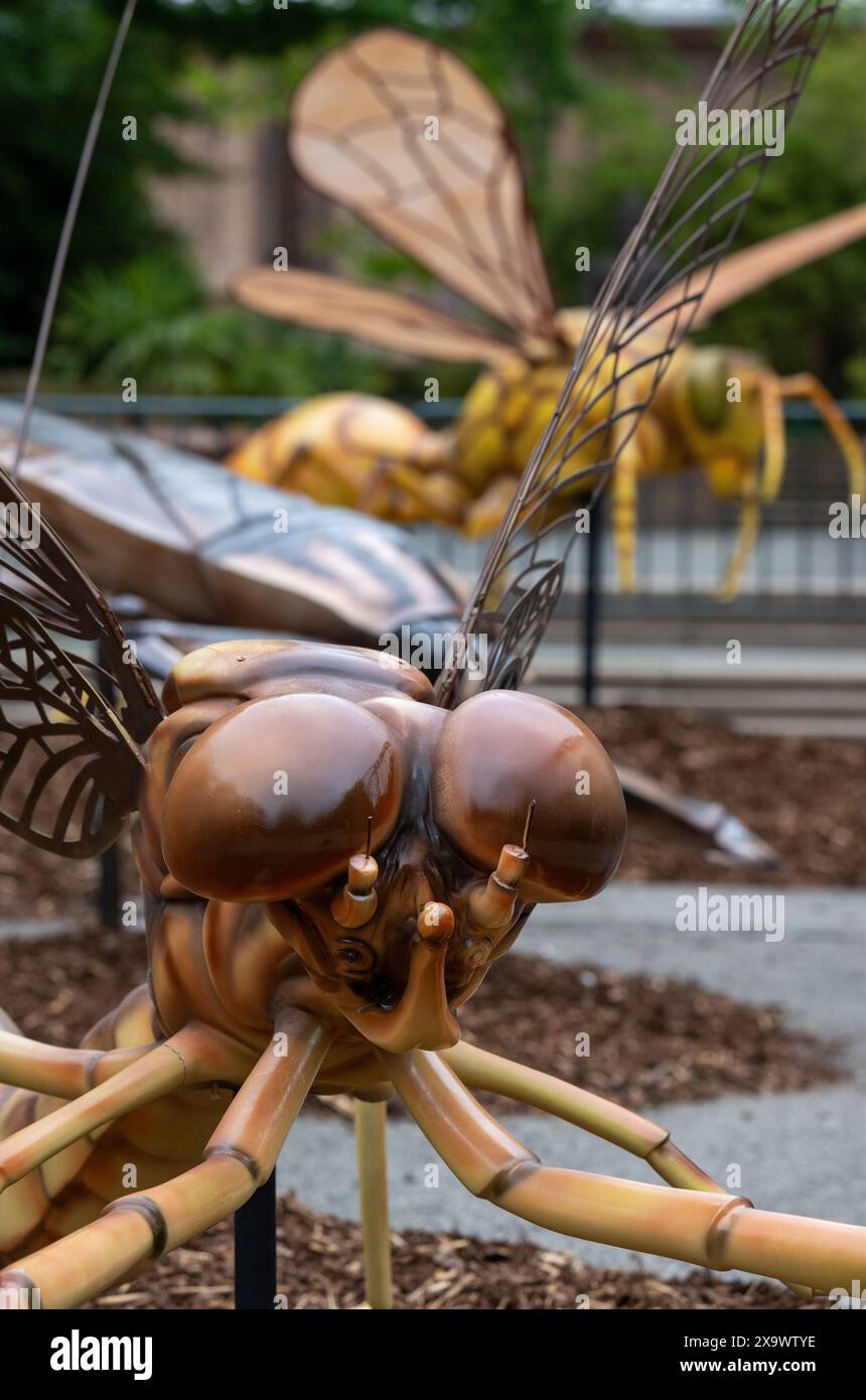 Leipzig, Deutschland. 03. Juni 2024, Sachsen, Leipzig: Das Modell einer Eintagsfliege ist im Leipziger Zoo zu sehen. Seit Juni bevölkern 27 „Tiny Giants“ den Zoo. Das ist der Titel einer Ausstellung über Insekten aus aller Welt. Die bis zu 2,5 Meter hohen und drei Meter langen, ansonsten winzigen Kreaturen begegnen den Besuchern des Zoos und bieten eine interessante Perspektive. Die Show mit einheimischen, afrikanischen, asiatischen und südamerikanischen Insekten wird erstmals in Deutschland gezeigt. Am 6. Und 7. Juli lädt der Zoo Besucher zu den Insect Discovery Days mit einem abwechslungsreichen Programm ein. Abbildung A: dpa Stockfoto