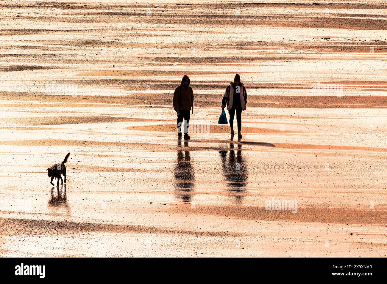 Zwei Leute und ein Hund laufen im schwindenden Licht am Fistral Beach in Cornwall. Stockfoto