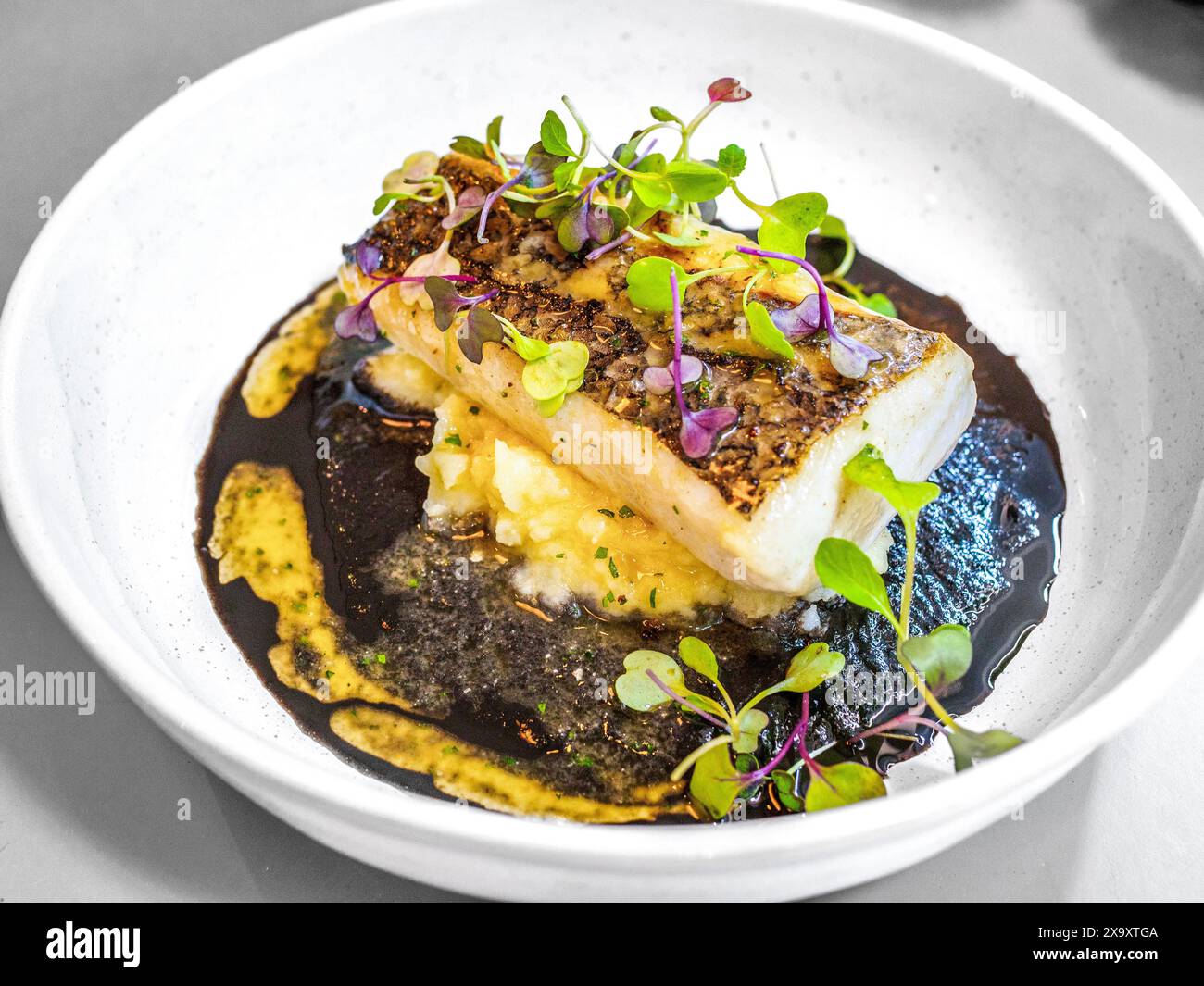 Seehecht im Baskenland, serviert mit Kartoffelpüree und Tintenfisch-Tintensoße, garniert mit Brunnenkresse-Sprossen. Baskische Küche. Stockfoto