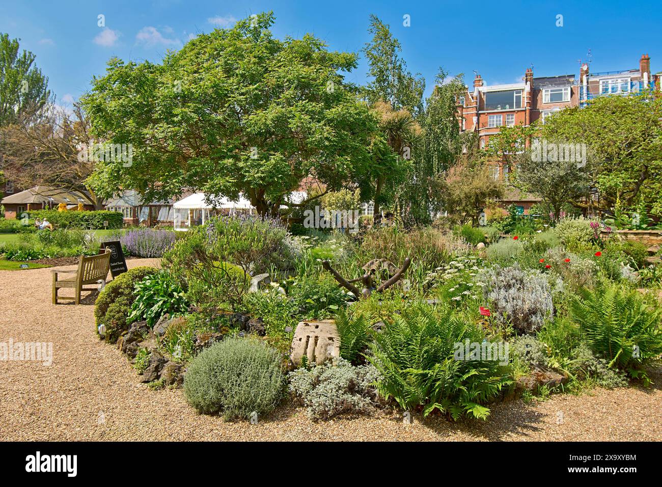 Chelsea Physic Garden ein blauer Himmel über dem kleinen Teich und die große Vielfalt an Pflanzen im Frühling Stockfoto