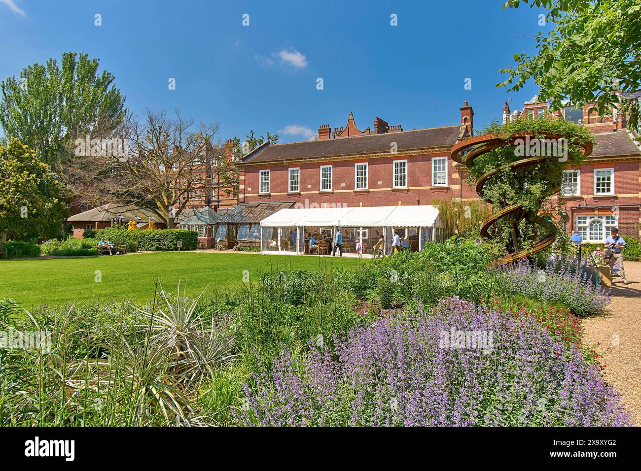 Chelsea Physic Garden blauer Himmel über dem Blumenbeet und Rasenflächen des Cafés Stockfoto