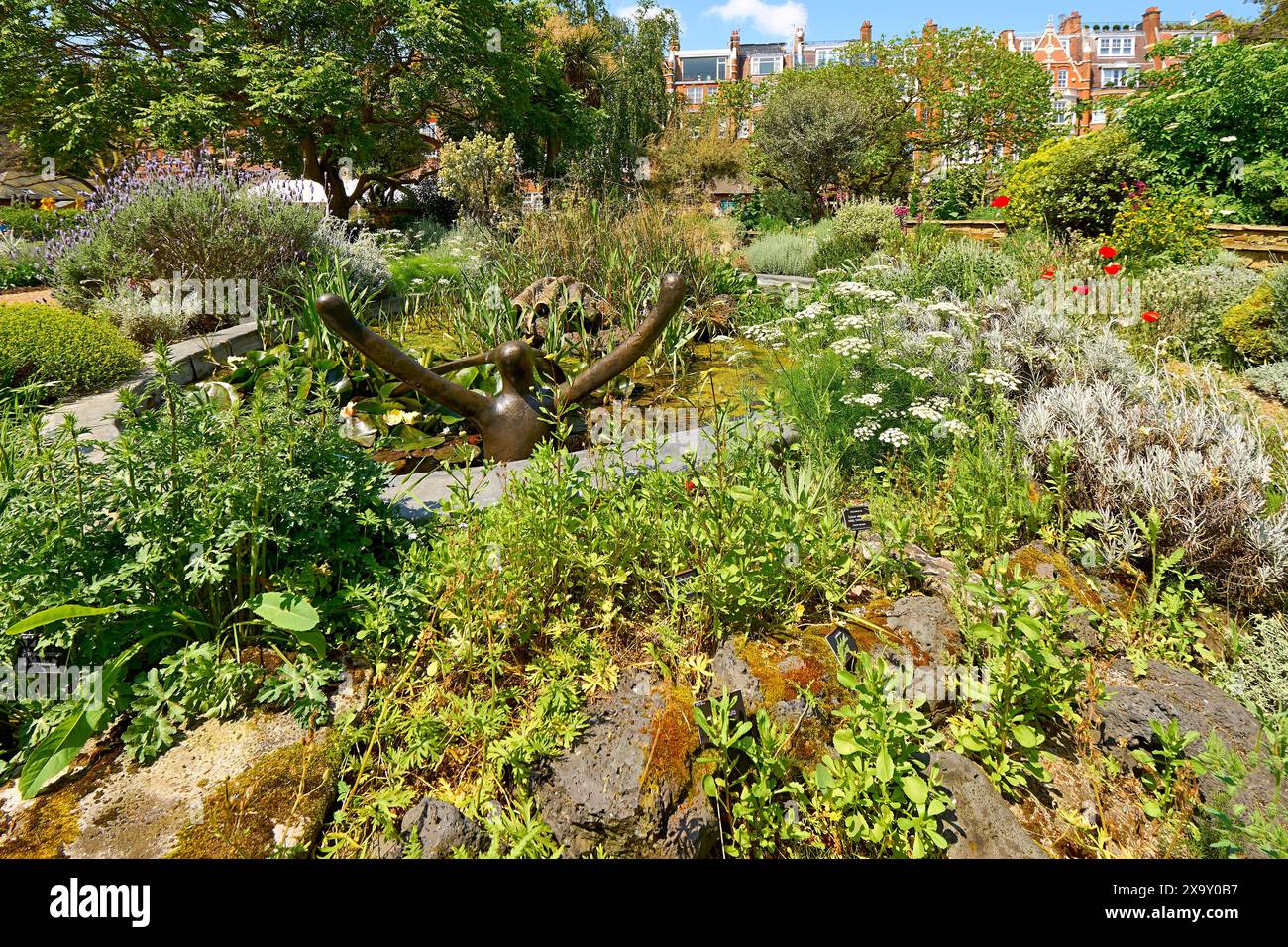 Chelsea Physic Garden der kleine Teich mit verschiedenen Blumen und einer Statue Stockfoto