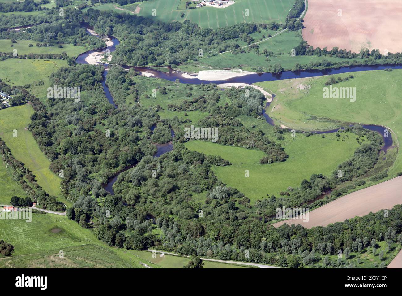 Aus der Vogelperspektive auf den River ure in Ripon, North Yorkshire Stockfoto