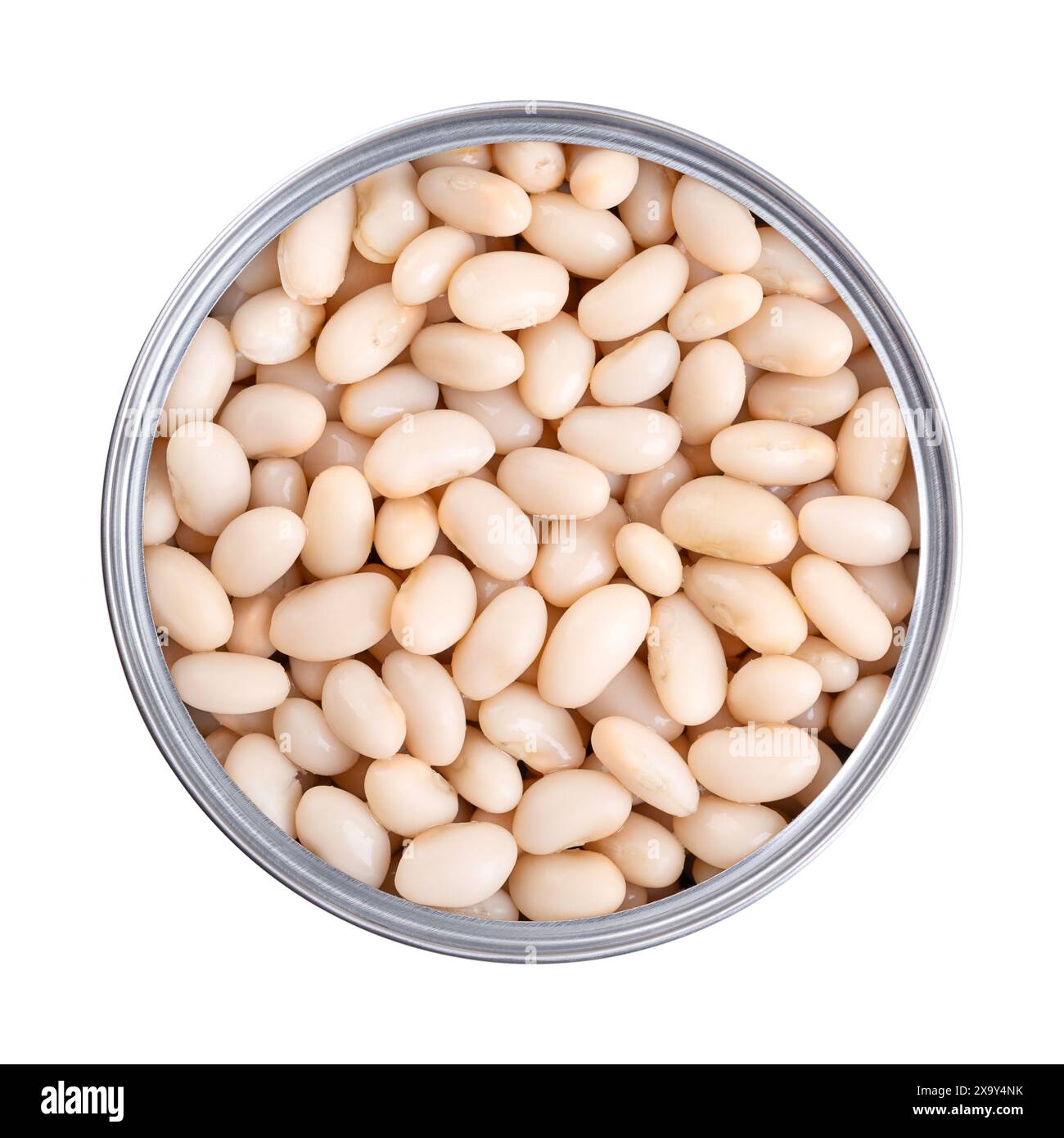 Weiße Kidneybohnen in einer geöffneten Dose. Gekochte und konservierte Cannellini-Bohnen, eine Vielzahl der gewöhnlichen Bohnen, Phaseolus vulgaris, ein vegetarisches Grundnahrungsmittel. Stockfoto