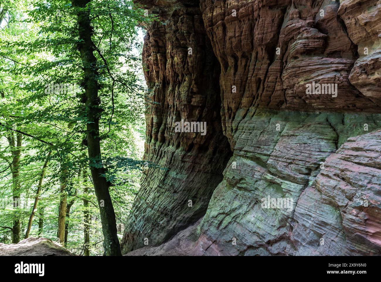Die Genoveva-Höhle, eine farbenfrohe Felsformation infolge der Erosion, in der Nähe von Kordel, Rheinland-Pfalz, Deutschland Stockfoto