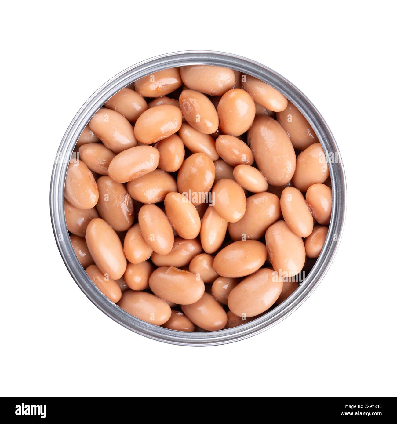 Borlotti-Bohnen in geöffneter Dose. Gekochte und konservierte Preiselbeerbohnen, eine Haselnussfarbene Sorte der gewöhnlichen Bohnen, Phaseolus vulgaris. Stockfoto