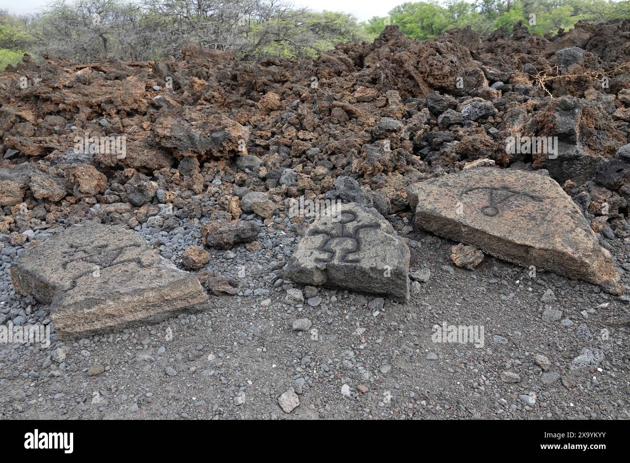 Petroglyphen, die in Stücke von Lavasteinen gehauen wurden, werden in einem Park auf der Big Island von Hawaii gezeigt. Stockfoto
