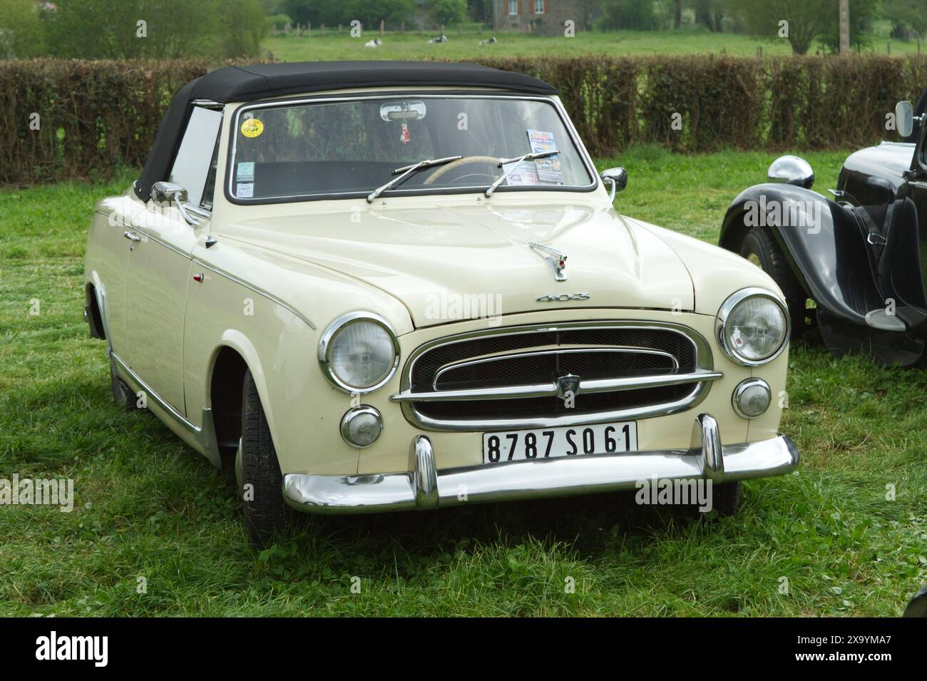 Klassisches französisches Peugeot 403 Cabrio aus den 50er und 60er Jahren Stockfoto