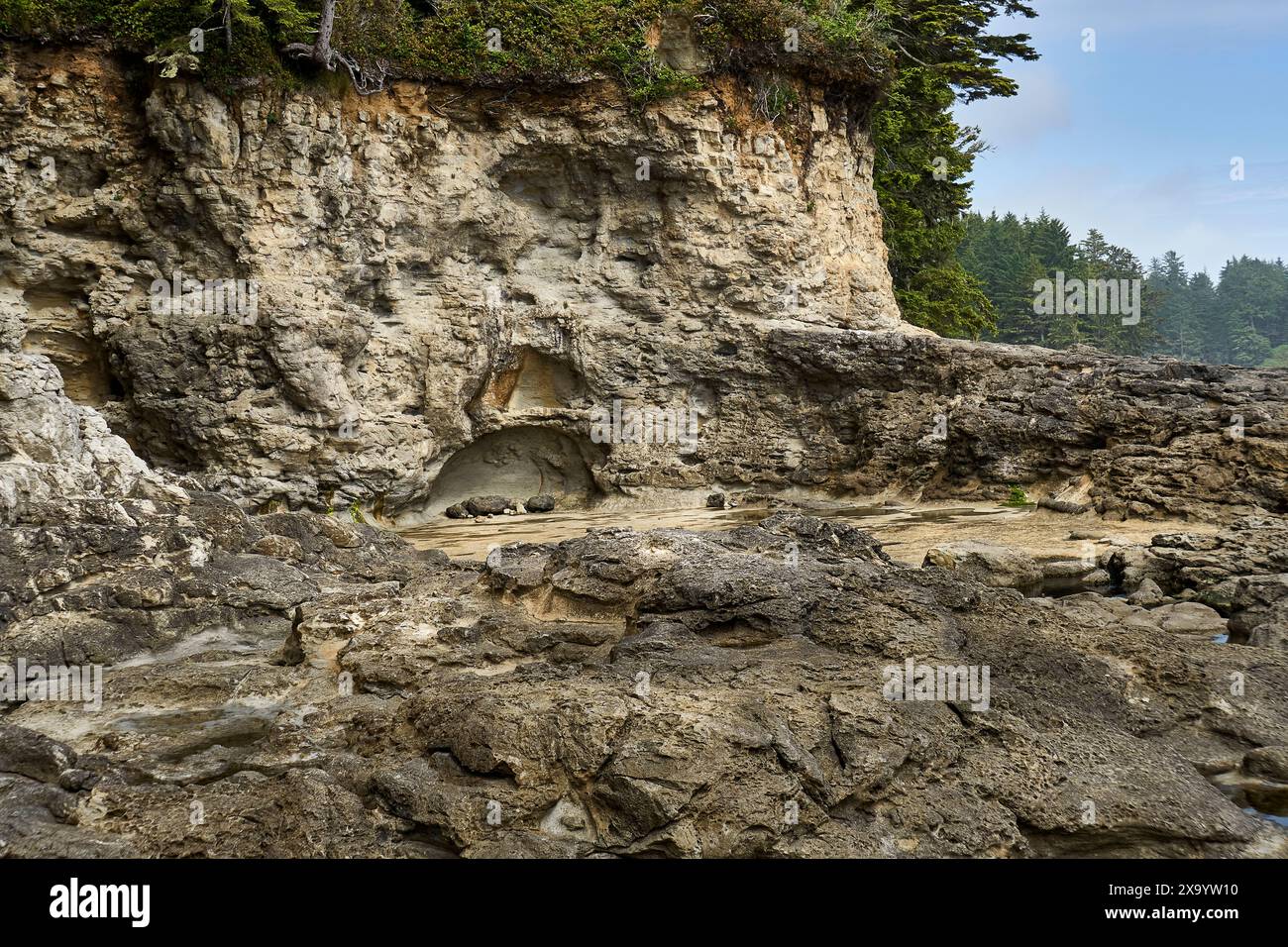 Die zerklüfteten Klippen und Felsen am Botanical Beach, ein beliebtes Touristenziel. Stockfoto