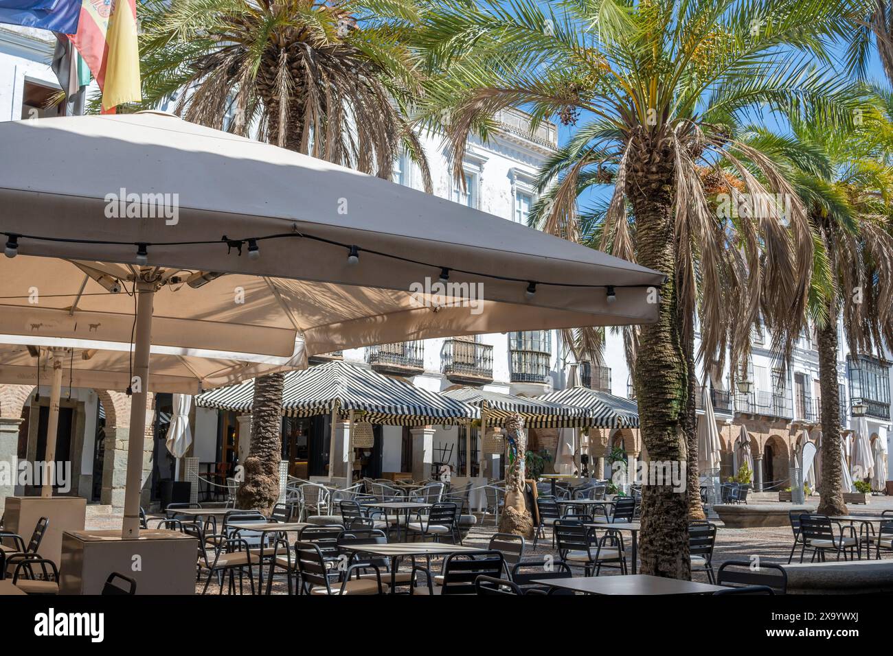 Die Tische und Schirme auf der Plaza Grande de Zafra, Spanien, umgeben von Palmen Stockfoto