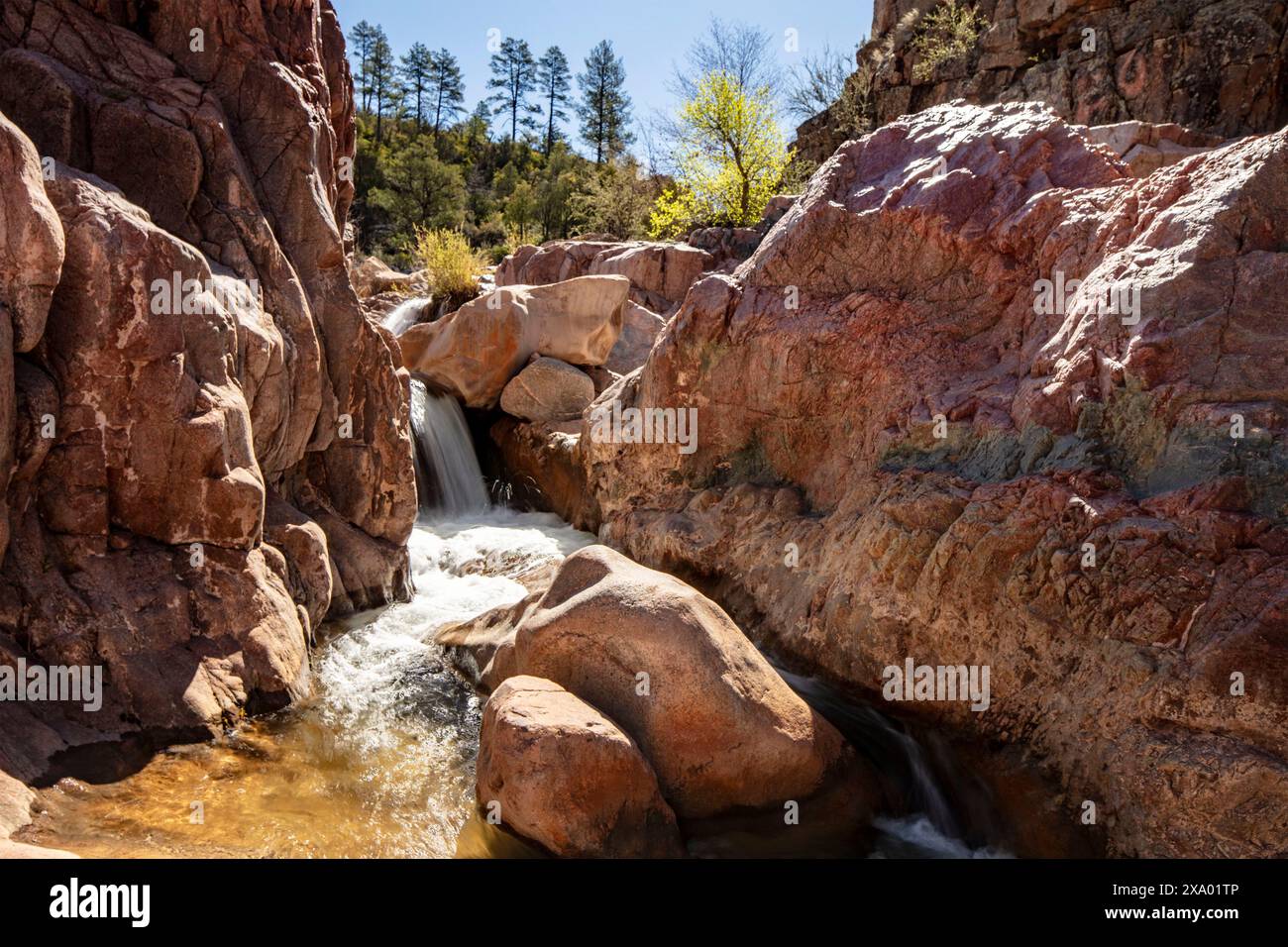 Wundervolle Wasserfälle entlang des herrlichen Water Wheel Falls Wander Trail in der Nähe von Peyson, Arizona (USA). Verführerisch, Erstaunlich, Atemberaubend, Fesselnd, Stockfoto