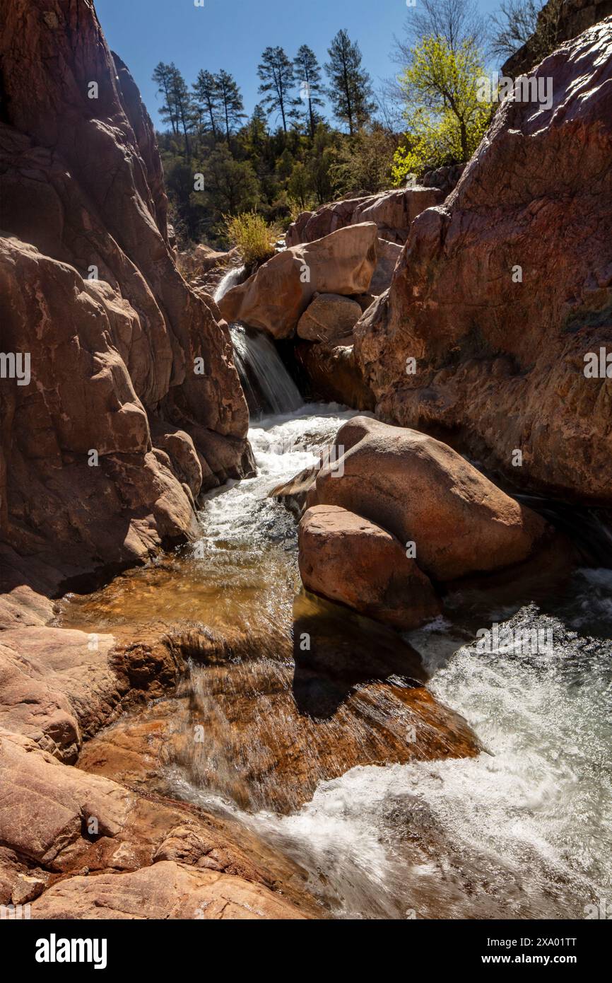 Wundervolle Wasserfälle entlang des herrlichen Water Wheel Falls Wander Trail in der Nähe von Peyson, Arizona (USA). Verführerisch, Erstaunlich, Atemberaubend, Fesselnd, Stockfoto