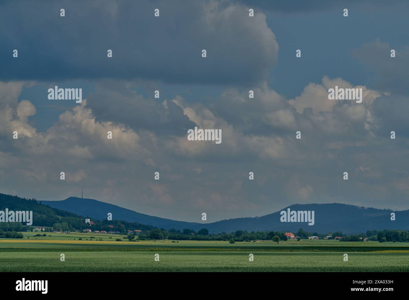 Juni grüne niederschlesische Landschaft im Juni Niederschlesien Polen Stockfoto