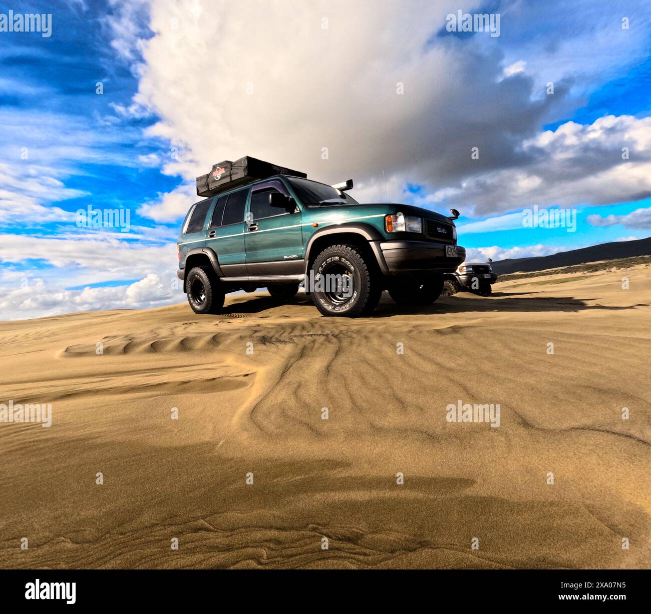 Ein bläuliches großes Horn auf der Sanddüne, große tyers, Camping manipuliert Stockfoto