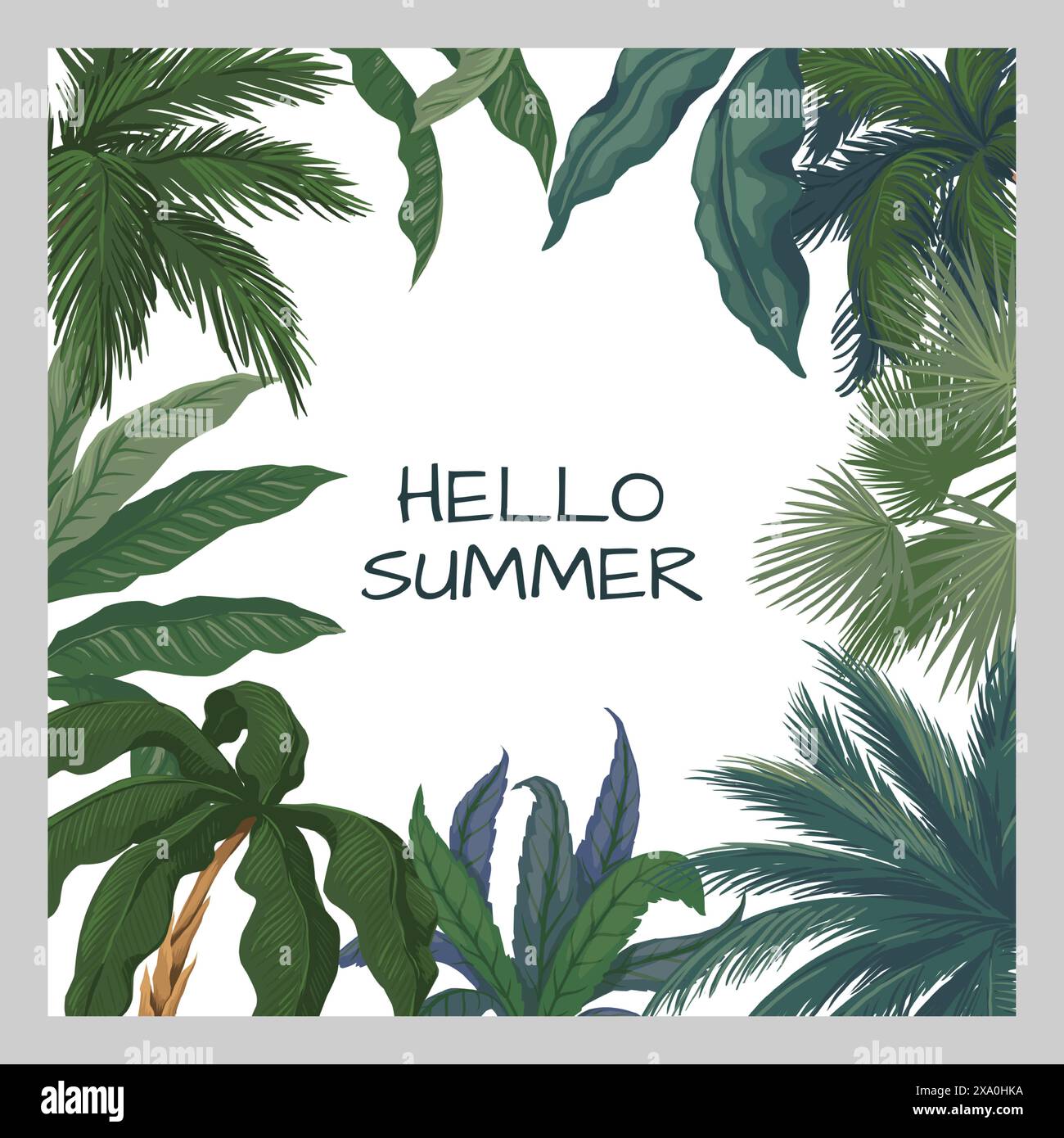 Hallo Sommerrahmen. Quadratische Bannervorlage, Social-Media-Post mit Kopierraum für Text. Wunderschöne tropische Pflanzen, grüne Blätter. Natürliches fol Stock Vektor