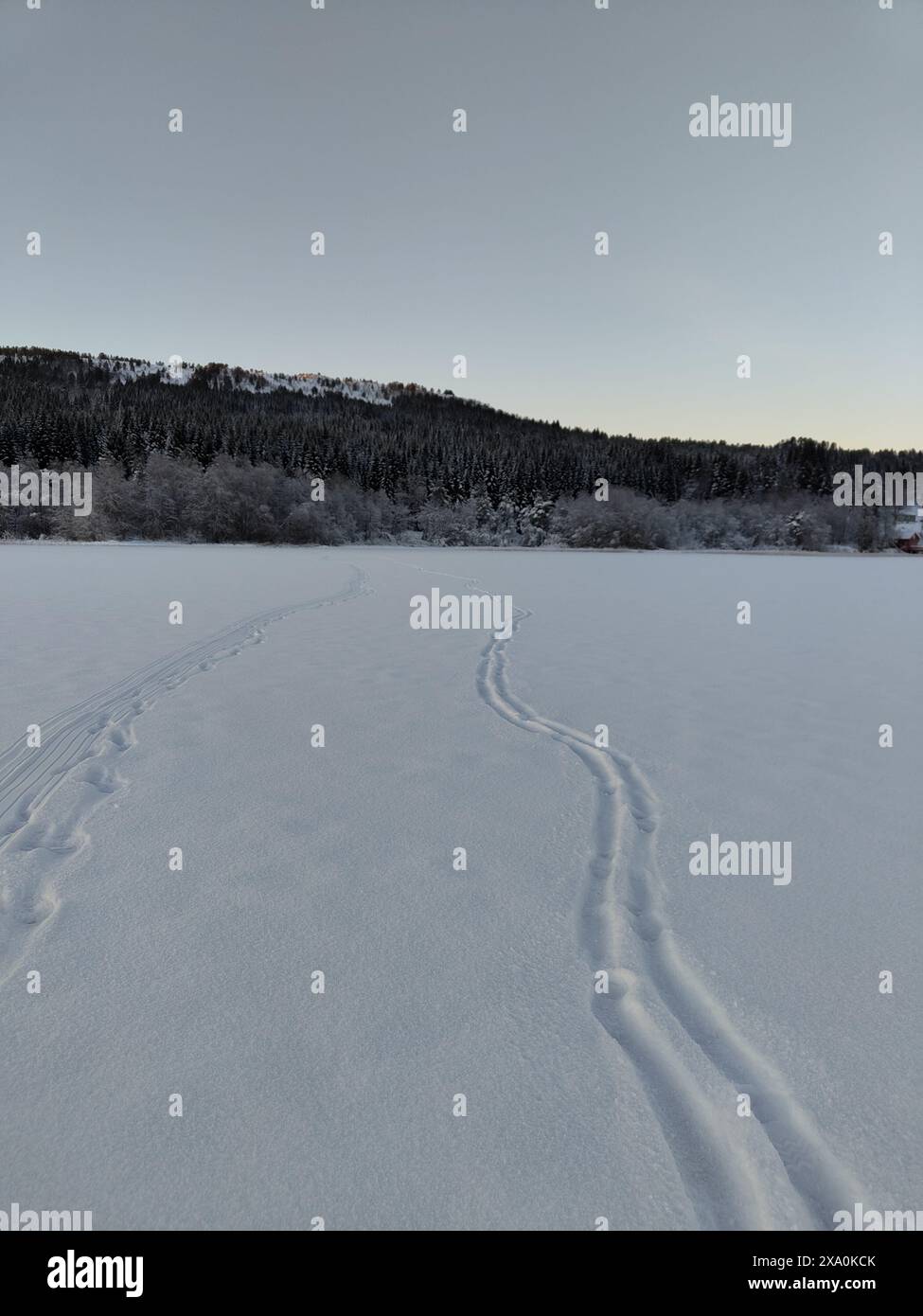 Ein schneebedecktes Feld mit frischen Fußabdrücken Stockfoto