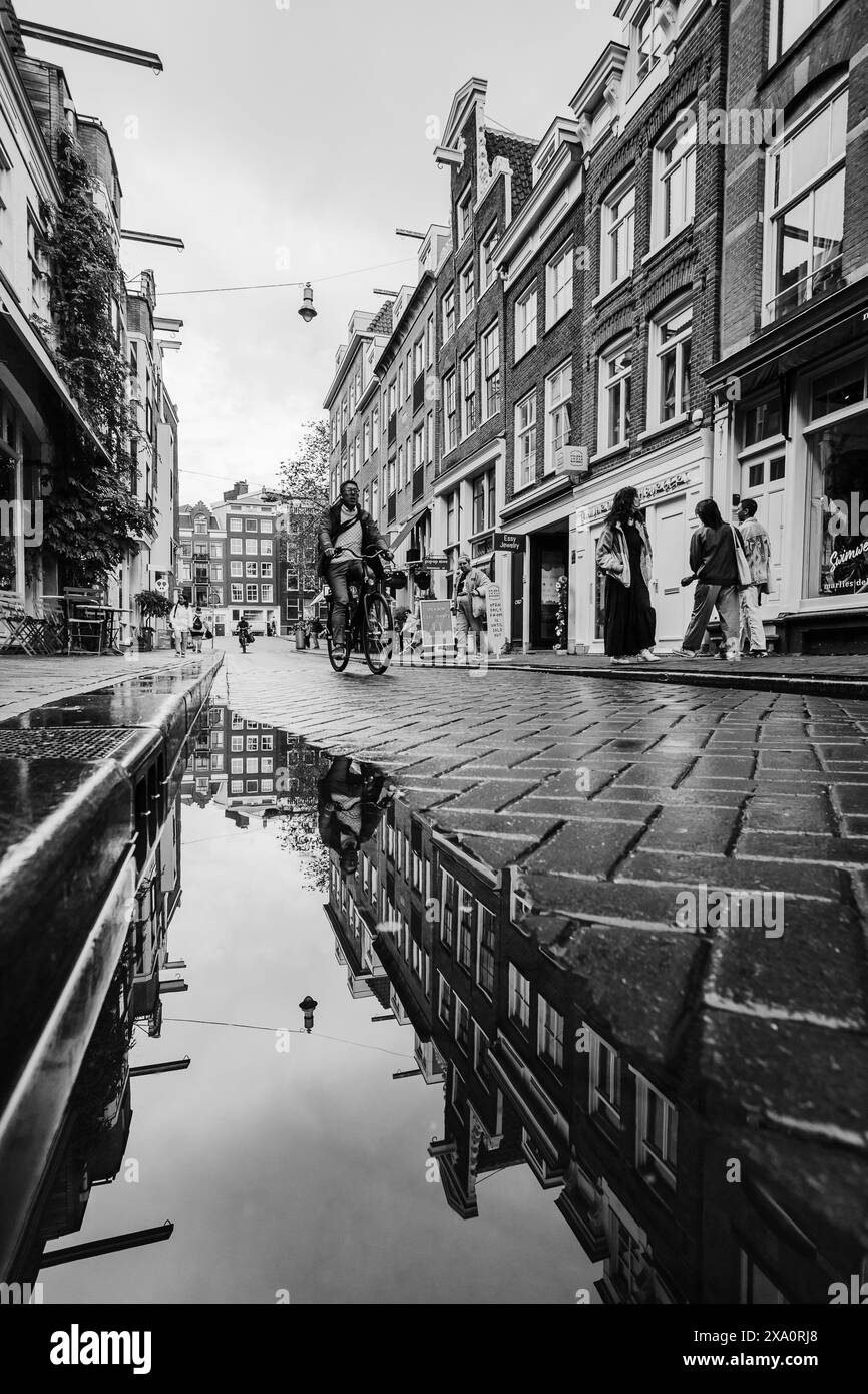 Stadthäuser und ein Mann auf dem Fahrrad spiegeln sich in einer Pfütze auf einer schmalen Straße im Stadtteil Jordaan in Amsterdam, Niederlande, am 29. Mai 2024. Stockfoto