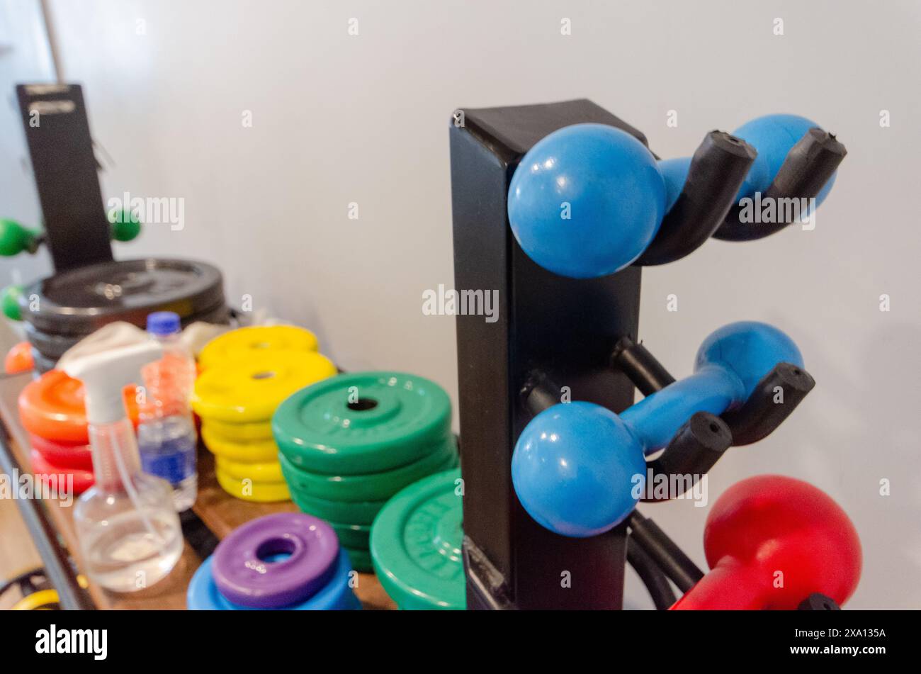 Verschiedene bunte Kurzhanteln auf einem Gestell am Spiegel Stockfoto