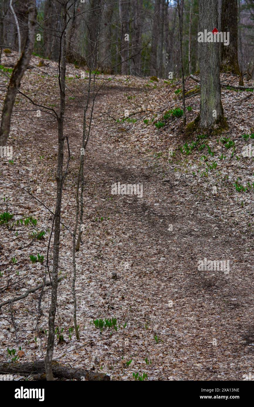 Ein Waldweg in Ontario, Kanada, bedeckt mit gefallenen Blättern Stockfoto