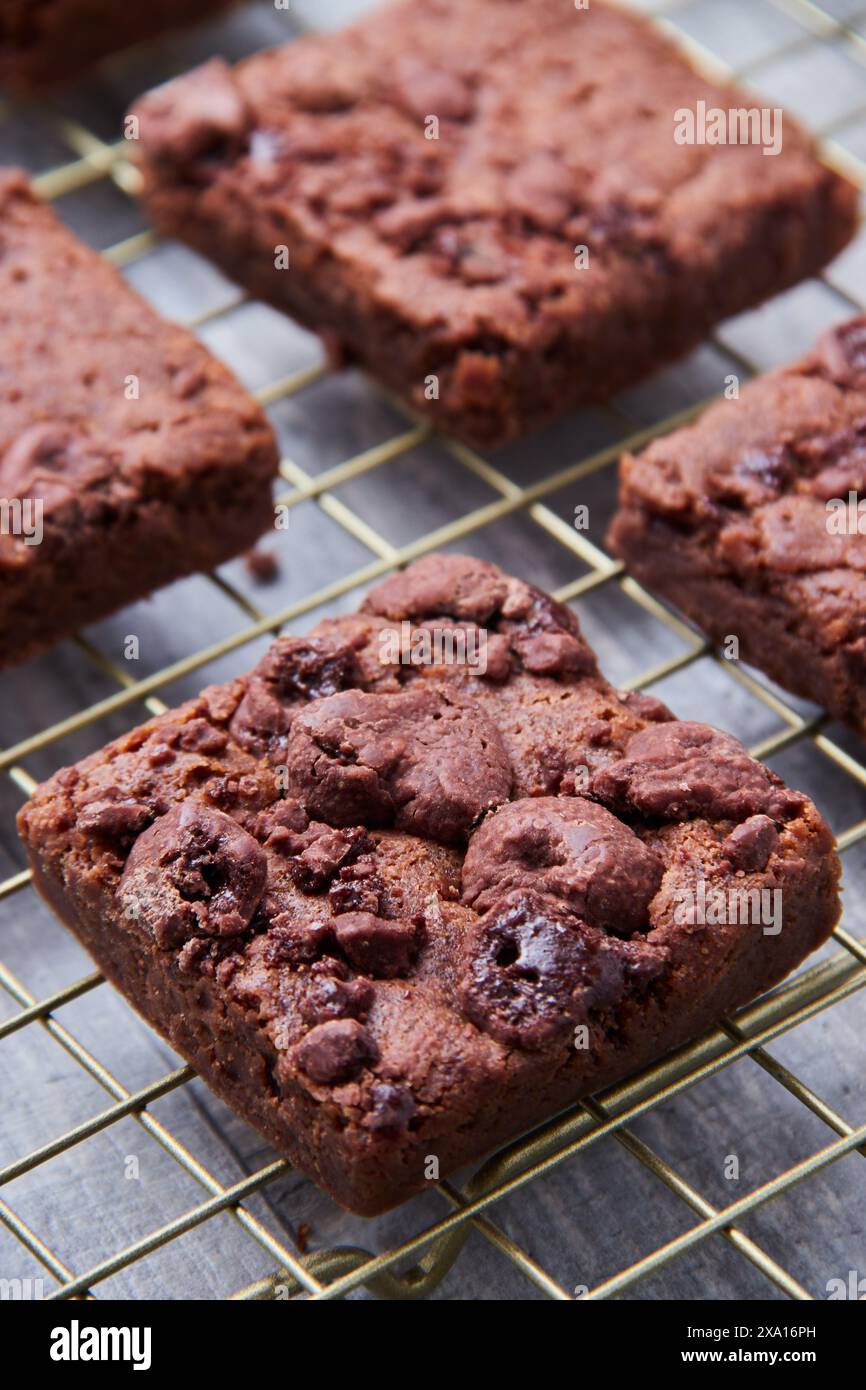 Eine Nahaufnahme von Schokoladen-Brownies auf einem Gitter in einer Küche Stockfoto