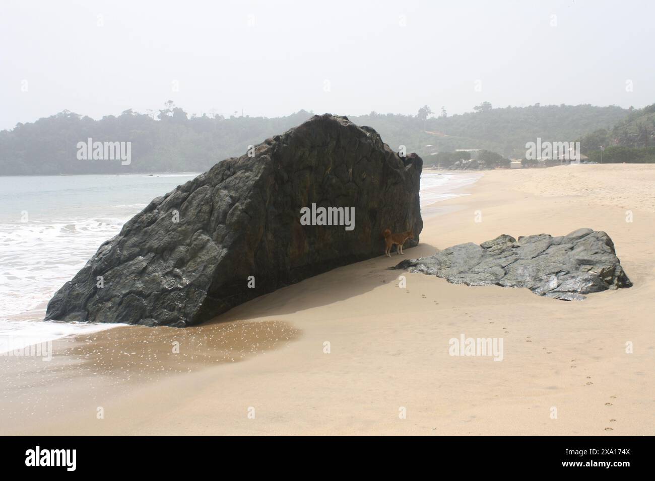 Eine majestätische Felsformation an einem abgeschiedenen Strand mit sanften Wellen am Ufer und einem Hund, der die Gegend erkundet. Stockfoto