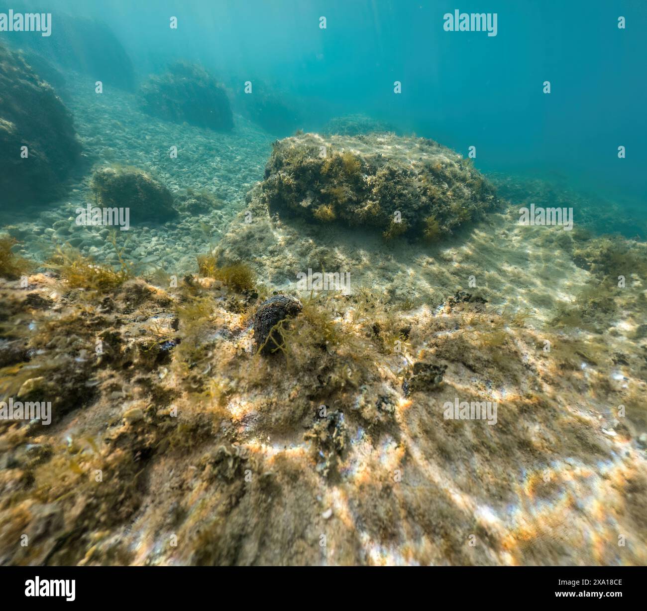 ActionCam Unterwasser-Meereslandschaft beim Schnorcheln in kroatien, adria Stockfoto