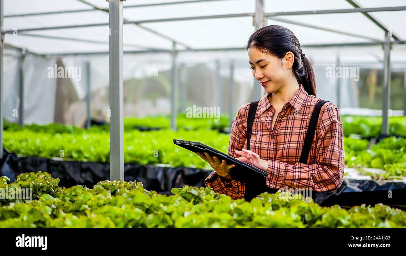 Asiatische Frau, die im Gewächshaus arbeitet Stockfoto