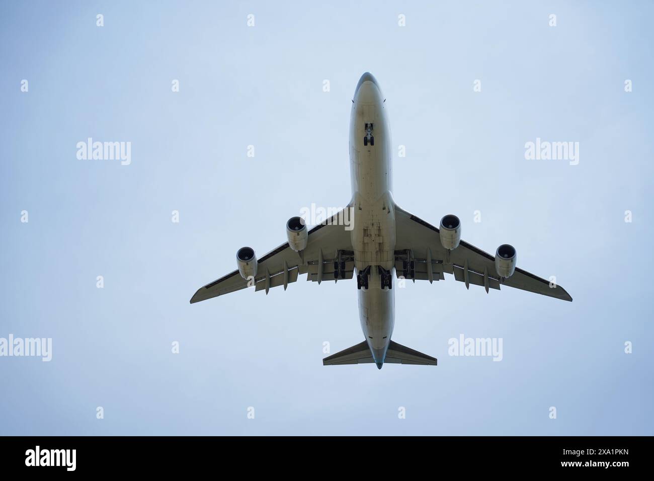 Das Flugzeug fliegt mit abgesenktem Fahrwerk am Himmel Stockfoto