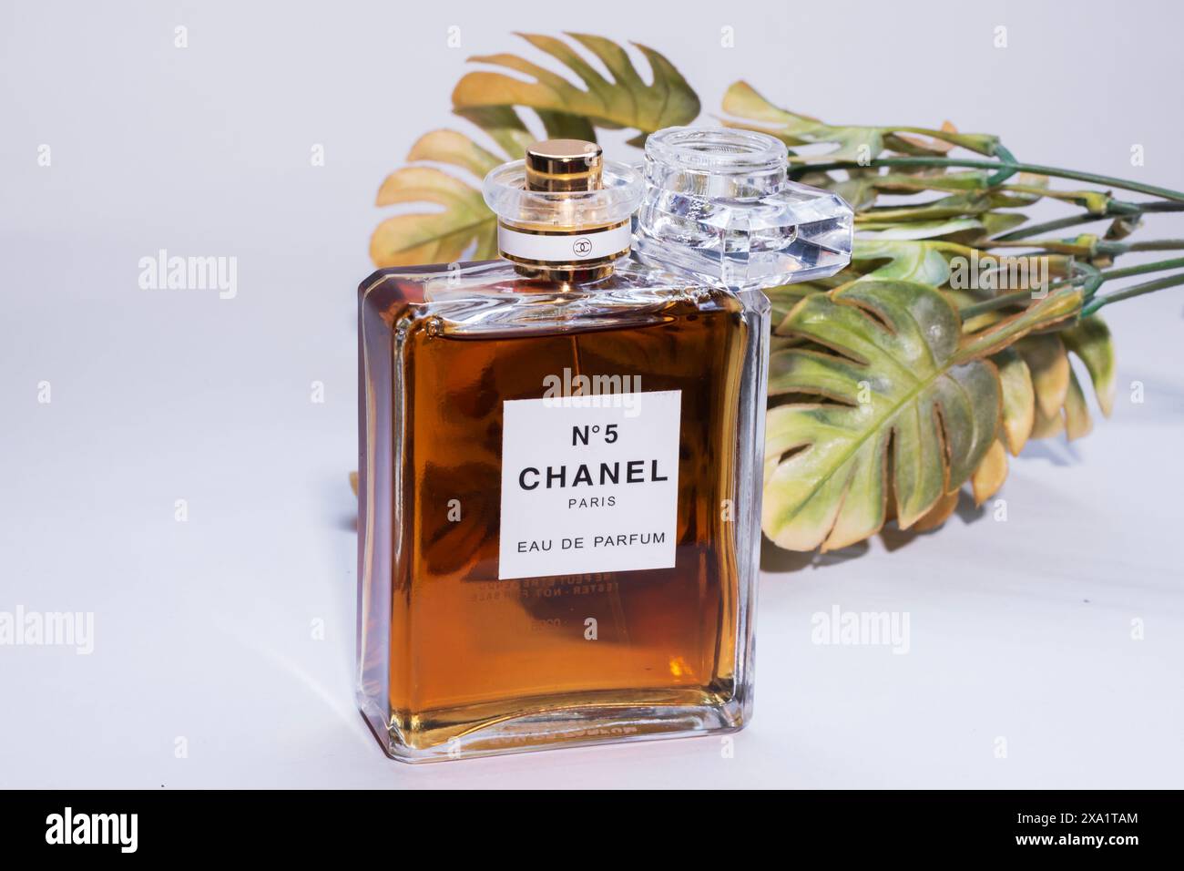 Das Parfüm Chanel Nr. 5 auf Studiohintergrund. Stockfoto