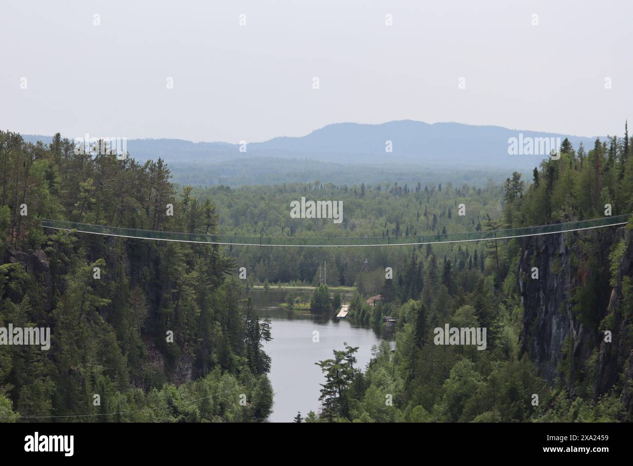 Ein malerischer Fluss, der sich durch lebendige grüne Wälder schlängelt Stockfoto