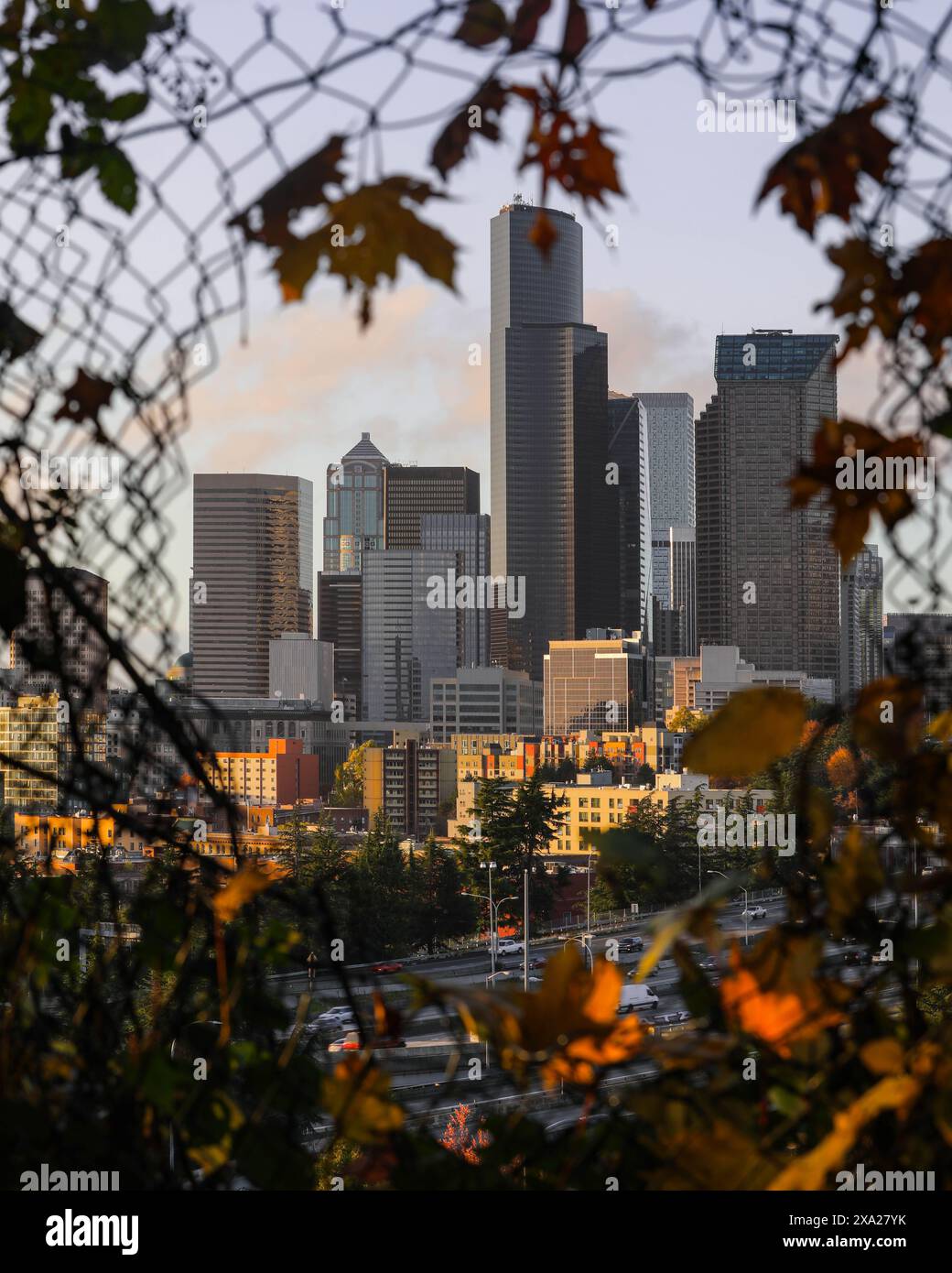 Eine Skyline der Stadt durch einen Maschendrahtzaun mit Laub Stockfoto