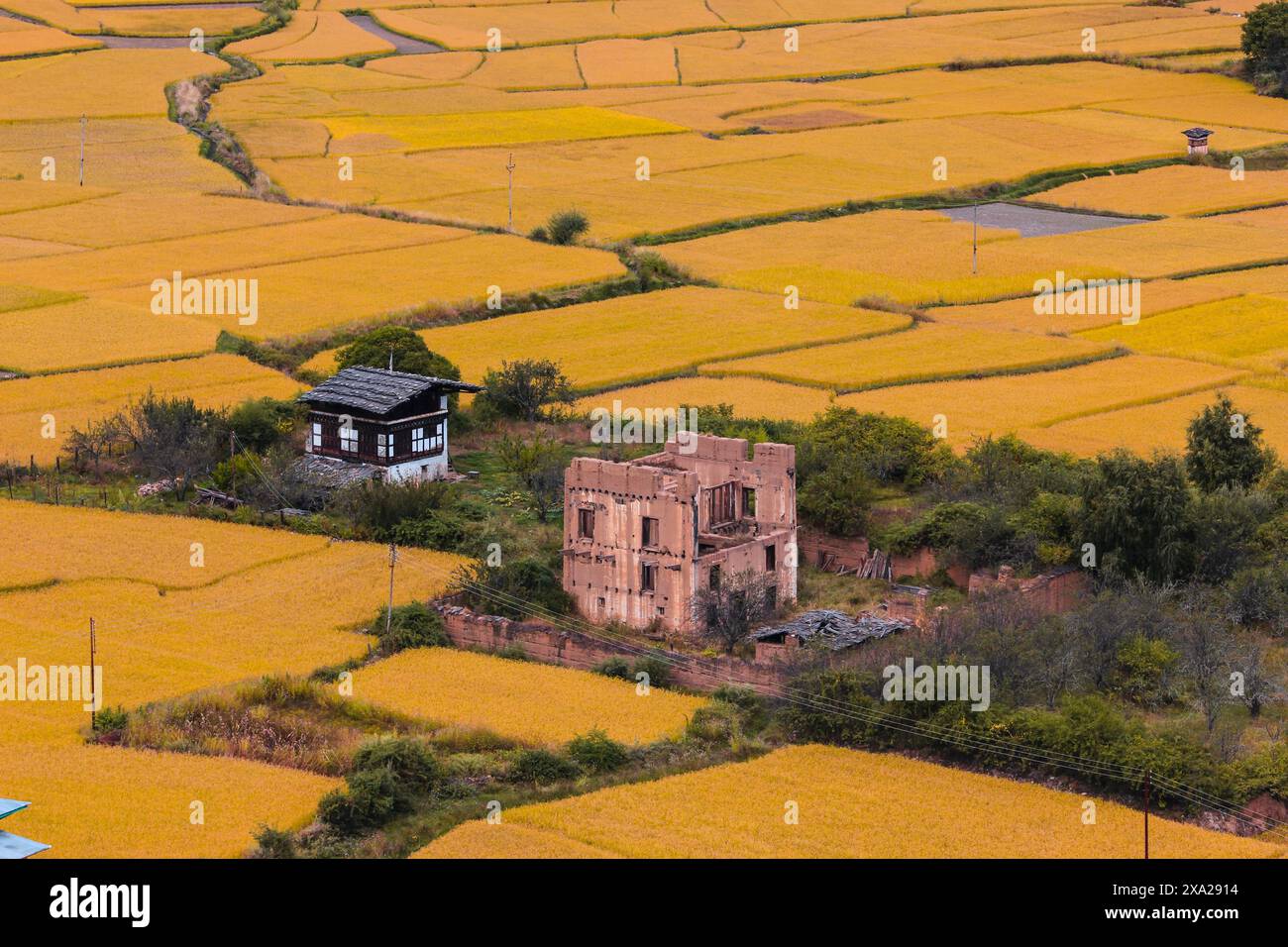 Das landwirtschaftliche Leben in Bhutan, die traditionelle Art der Landwirtschaft und des Lebens Stockfoto