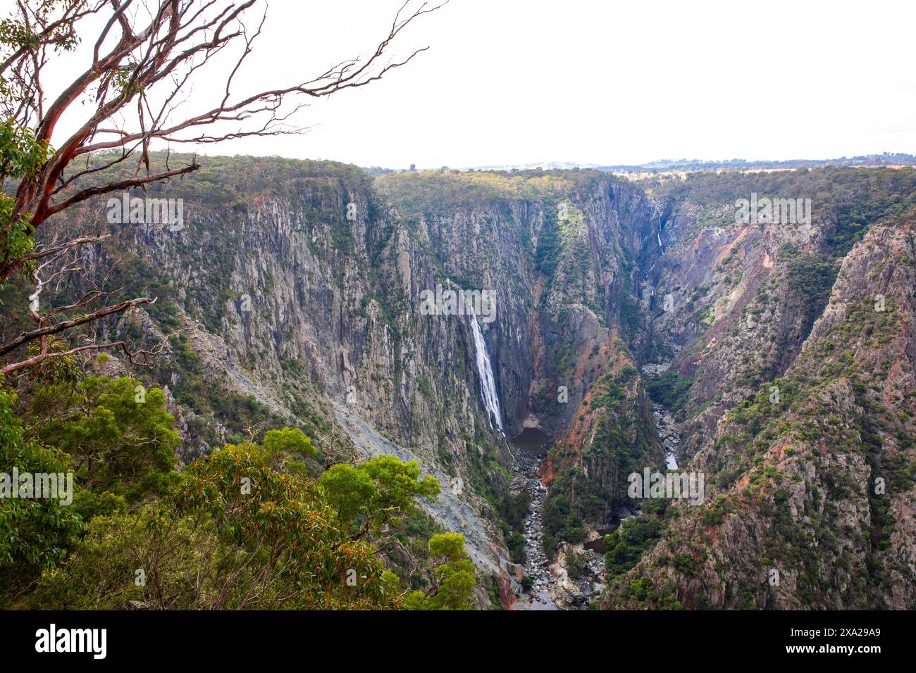 Wollemombi Wasserfall Falls im Oxley Rivers National Park, Australiens zweitgrößter Wasserfall, mit chandler Falls in NSW, Australien Stockfoto