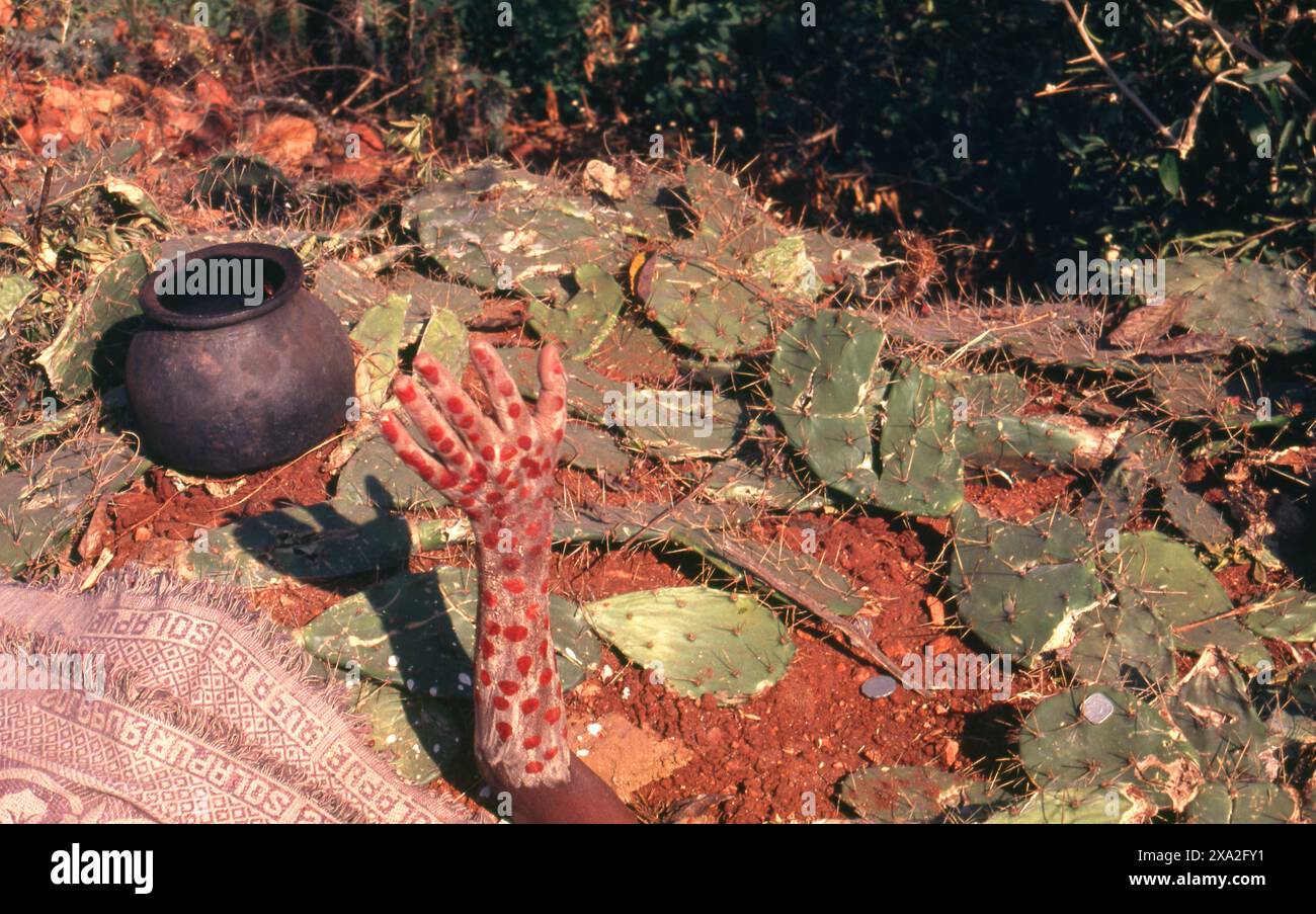 Indien: Ein Fakir oder Yogi mit dem Kopf in der Erde, Poornima Festival in der Nähe des Yellamma-Tempels in Saundatti, Karnataka (1994). Jedes Jahr im Hindumonat Magh (Januar bis Februar) versammeln sich mehr als eine halbe Million Menschen um den winzigen Tempel der Göttin Yellamma in Saundatti. Yellamma ist der Schutzpatron der devadasi oder Frauen, die dem Dienst an einer Gottheit oder einem Tempel gewidmet sind. Stockfoto