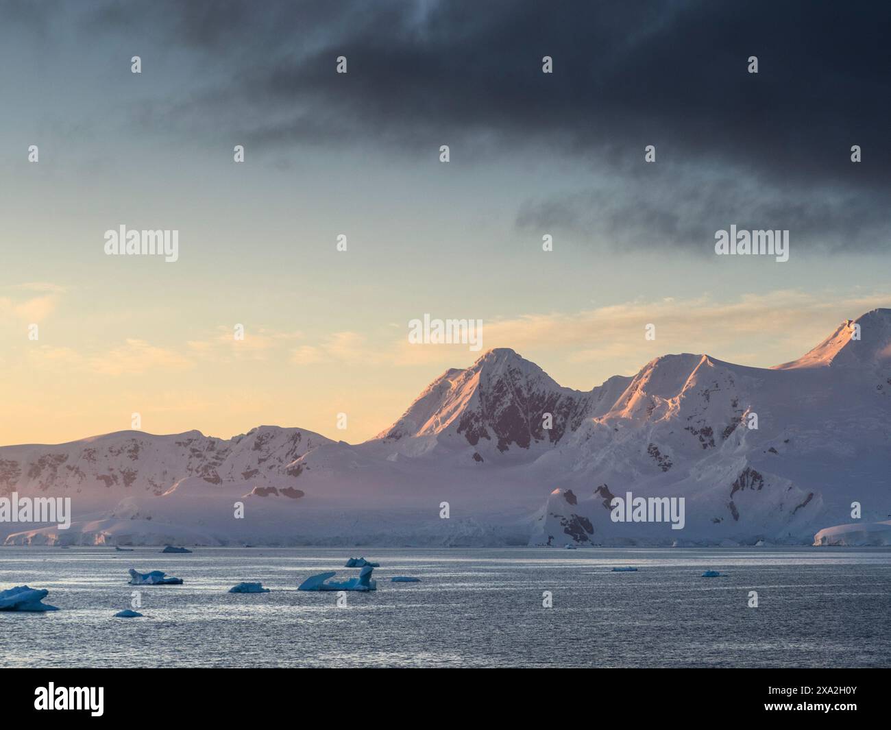 Alpenglow über Brabant Island mit kleinen „Growler“-Eisbergen in der Gerlache Straße, Palmer Archipel, Antarktis. Stockfoto