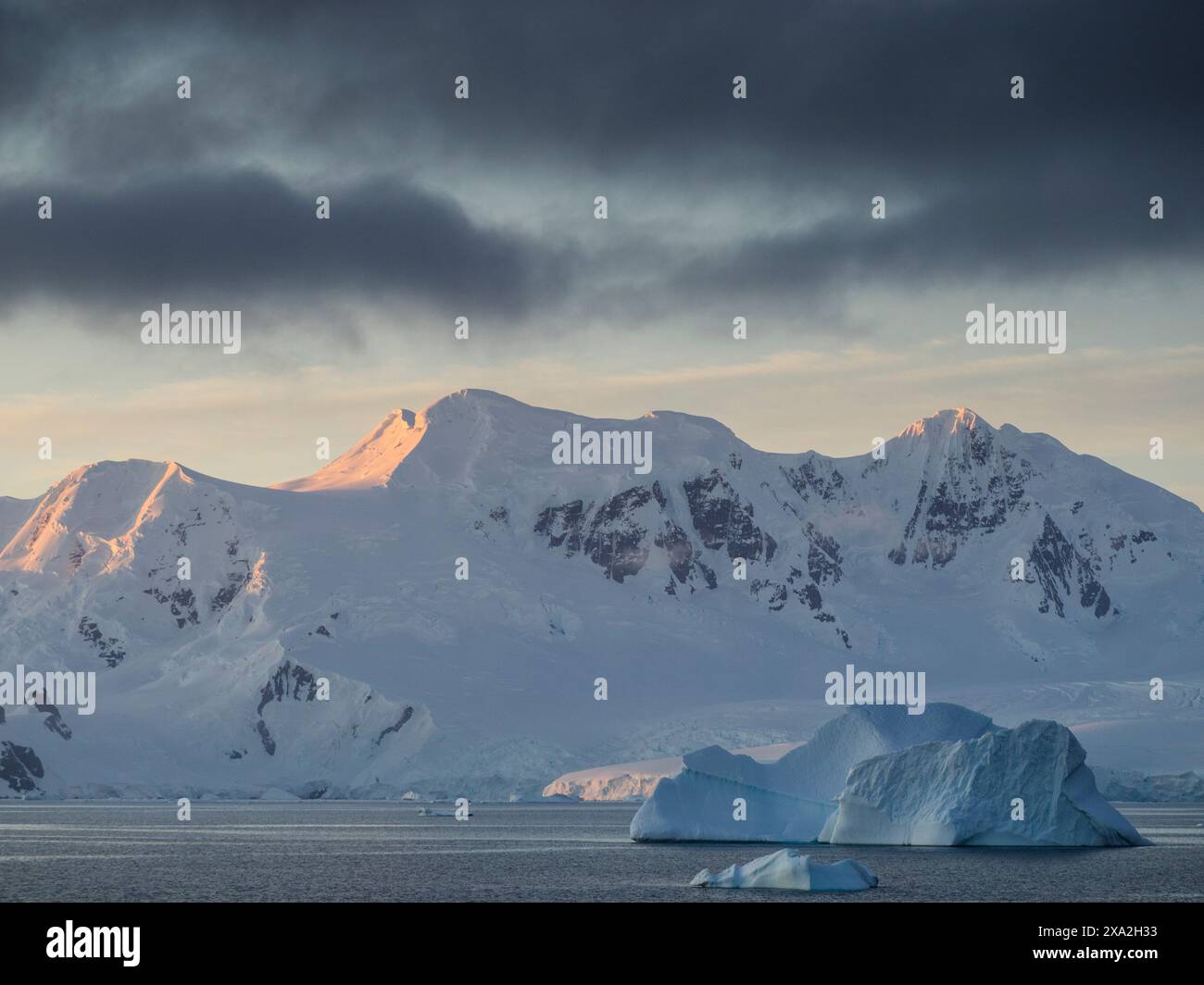 Alpenglow auf Brabant Island Gipfeln mit Eisbergen in der Gerlache Straße, Palmer Archipel, Antarktis. Stockfoto