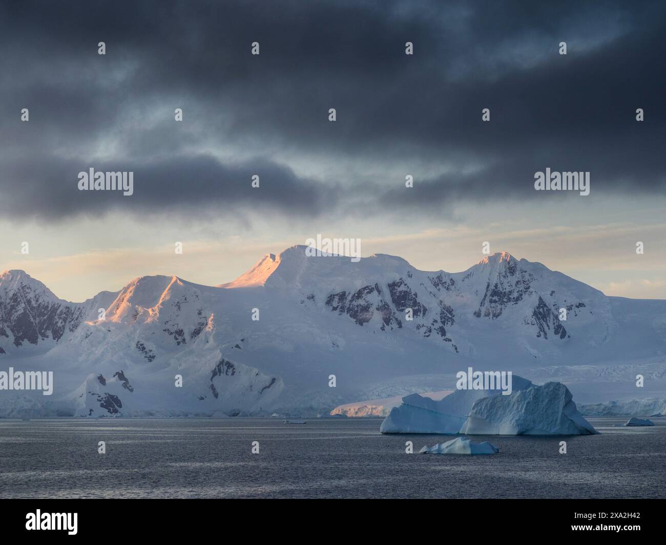 Alpenglow auf Brabant Island Gipfeln mit Eisbergen in der Gerlache Straße, Palmer Archipel, Antarktis. Stockfoto