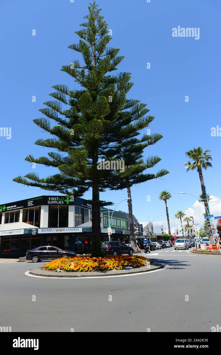 Das Zentrum in Maunganui, Tauranga, Neuseeland. Stockfoto