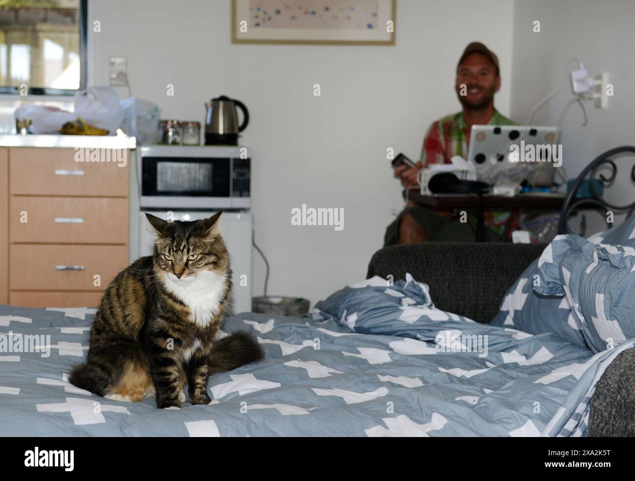 Ein digitaler Nomade, der in seinem Zimmer arbeitet. Stockfoto