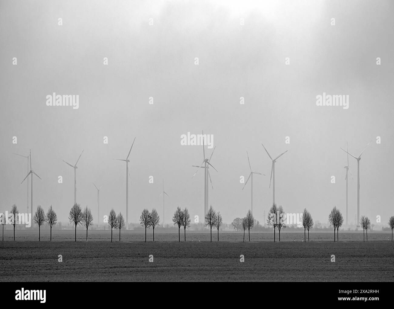 Jungbaumallee und Windräder an der Autobahn, Thüringen, Deutschland Stockfoto